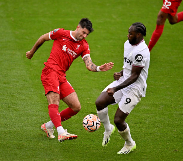 力和坚持 力和坚持